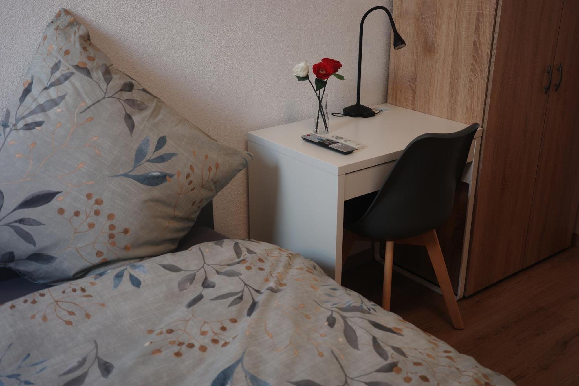 Moderne Wohnung In Eutritzsch 莱比锡 外观 照片